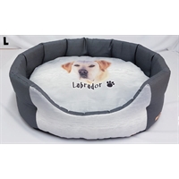 cuccia Labrador trono