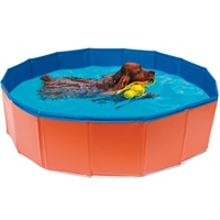 Piscina per cani
