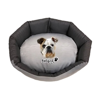 cuccia Bulldog trono