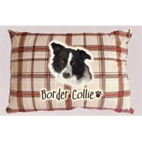 cuccia divano Border Collie