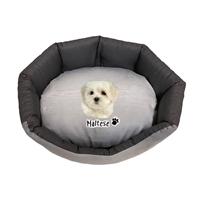 cuccia Maltese trono 