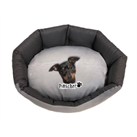 cuccia Pinscher trono 